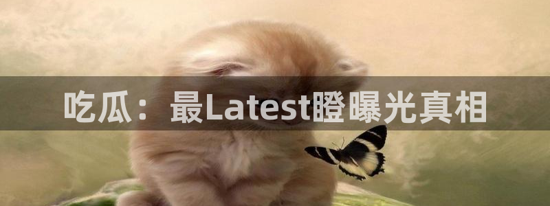 吃瓜信息核验