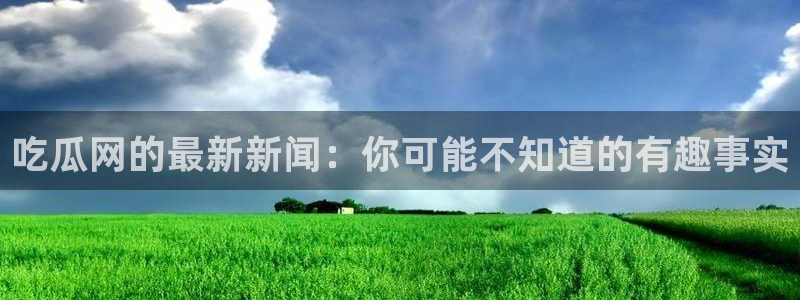 吃瓜