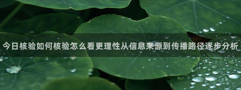 直播吃瓜热点汇总