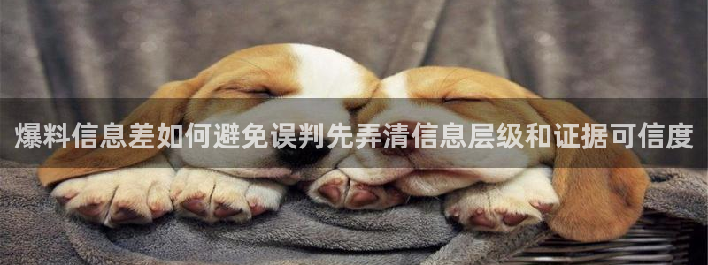 吃瓜新闻后续进展