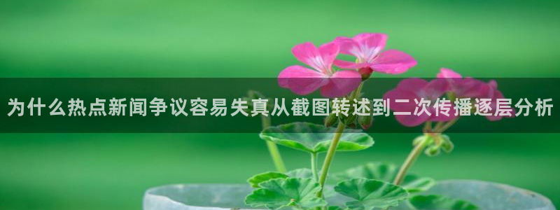 理性吃瓜后续进展
