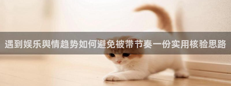 社会热点热点汇总