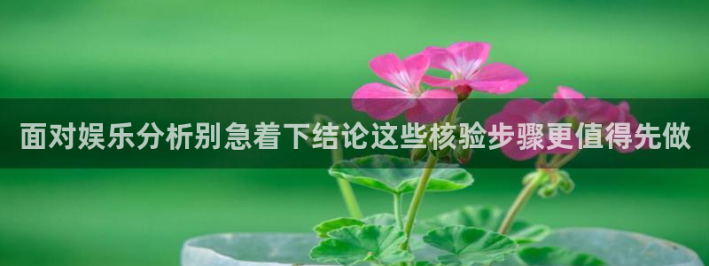 网红吃瓜