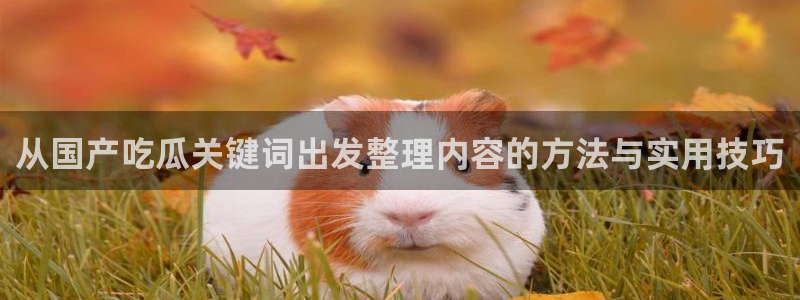 今日吃瓜热点汇总