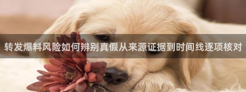 职场热点热点汇总