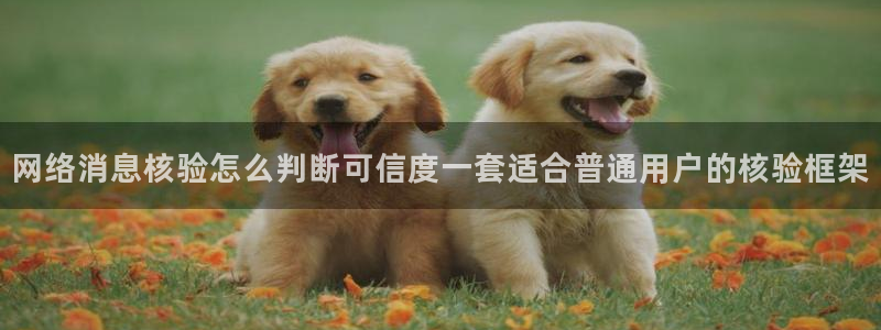 吃瓜爆料事件始末