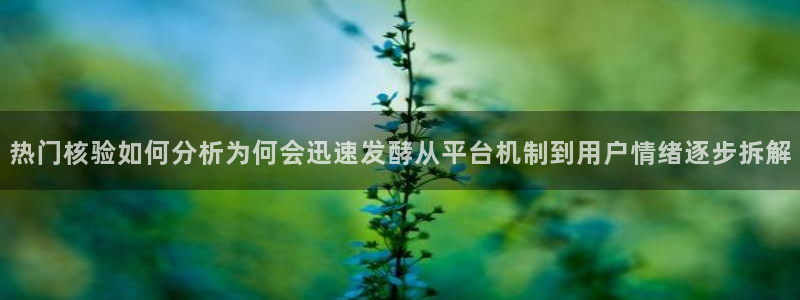 今日吃瓜完整时间线